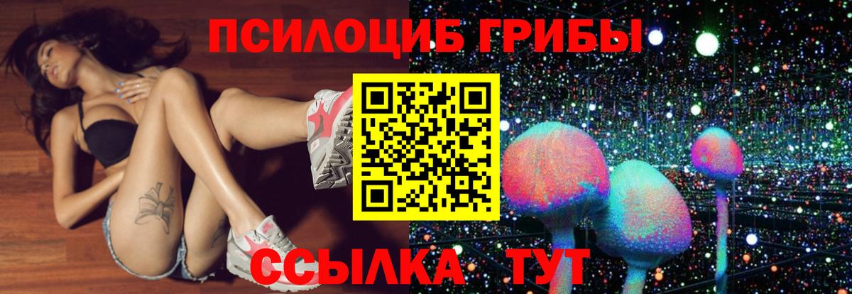продажа наркотиков  Галлюциногенные грибы MAGIC MUSHROOMS  Вход с VPN  Псилоцибиновые грибы Psilocybe  Сызрань 